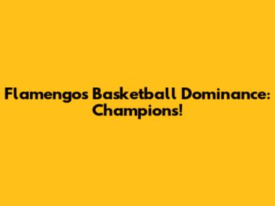 Flamengo's Basketball Dominance: Champions!