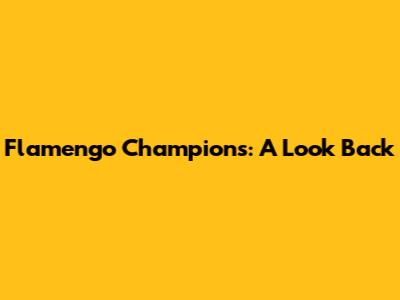 Flamengo Champions: A Look Back