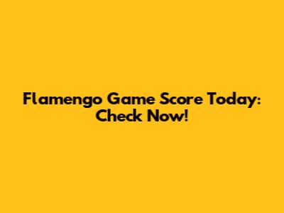 Flamengo Game Score Today: Check Now!