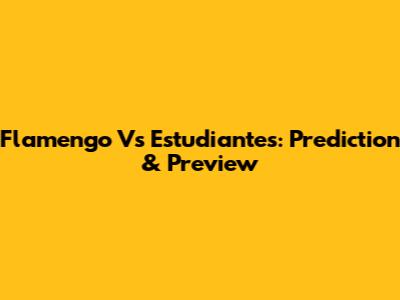 Flamengo Vs Estudiantes: Prediction & Preview