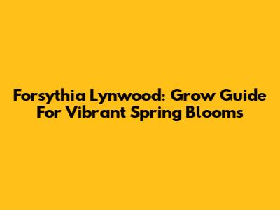 Forsythia Lynwood: Grow Guide For Vibrant Spring Blooms