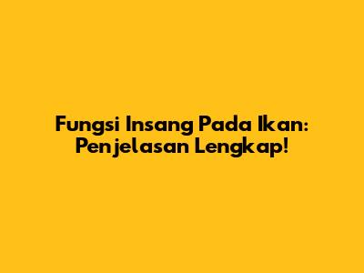 Fungsi Insang Pada Ikan: Penjelasan Lengkap!