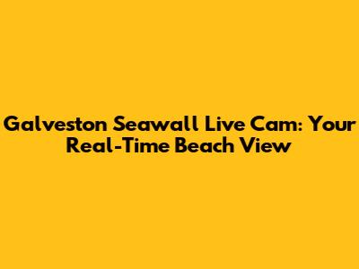 Galveston Seawall Live Cam: Your Real-Time Beach View