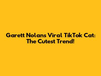 Garett Nolan's Viral TikTok Cat: The Cutest Trend!