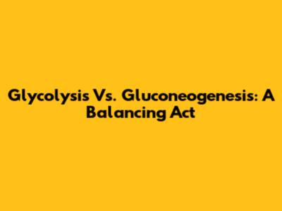 Glycolysis Vs. Gluconeogenesis: A Balancing Act