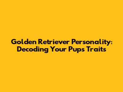 Golden Retriever Personality: Decoding Your Pup's Traits