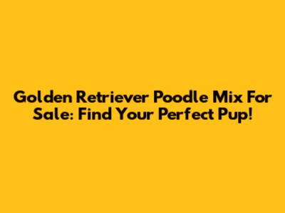 Golden Retriever Poodle Mix For Sale: Find Your Perfect Pup!