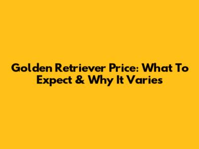 Golden Retriever Price: What To Expect & Why It Varies