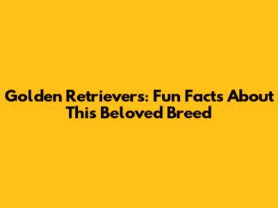 Golden Retrievers: Fun Facts About This Beloved Breed