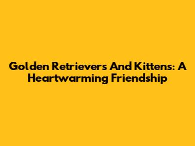 Golden Retrievers And Kittens: A Heartwarming Friendship