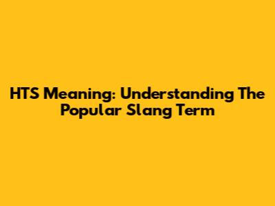 HTS Meaning: Understanding The Popular Slang Term