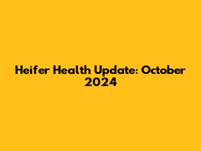 Heifer Health Update: October 2024
