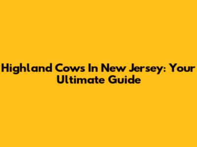 Highland Cows In New Jersey: Your Ultimate Guide