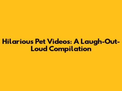 Hilarious Pet Videos: A Laugh-Out-Loud Compilation