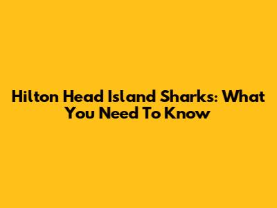 Hilton Head Island Sharks: What You Need To Know