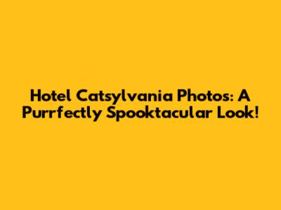 Hotel Catsylvania Photos: A Purrfectly Spooktacular Look!