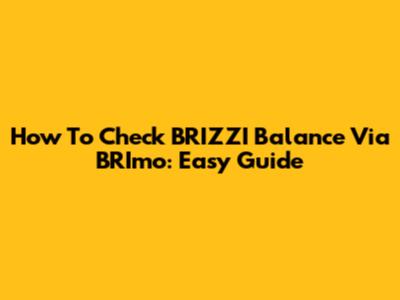 How To Check BRIZZI Balance Via BRImo: Easy Guide
