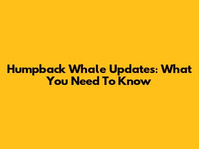 Humpback Whale Updates: What You Need To Know