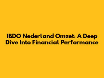 IBDO Nederland Omzet: A Deep Dive Into Financial Performance