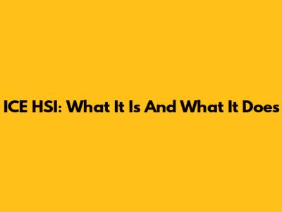 ICE HSI: What It Is And What It Does
