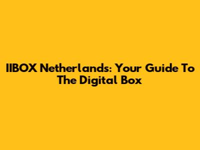 IIBOX Netherlands: Your Guide To The Digital Box
