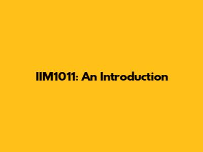 IIM1011: An Introduction