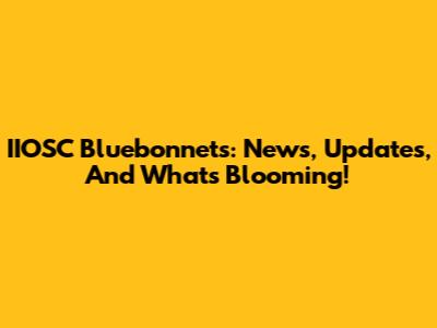 IIOSC Bluebonnets: News, Updates, And What's Blooming!
