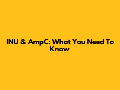 INU & AmpC: What You Need To Know