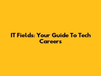 IT Fields: Your Guide To Tech Careers