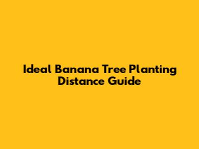 Ideal Banana Tree Planting Distance Guide