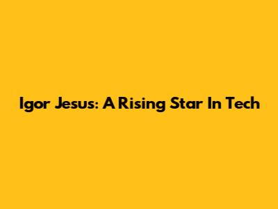 Igor Jesus: A Rising Star In Tech