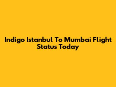 Indigo Istanbul To Mumbai Flight Status Today