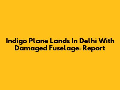 Indigo Plane Lands In Delhi With Damaged Fuselage: Report