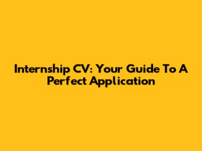 Internship CV: Your Guide To A Perfect Application