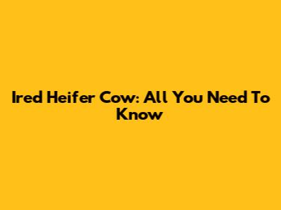 Ired Heifer Cow: All You Need To Know