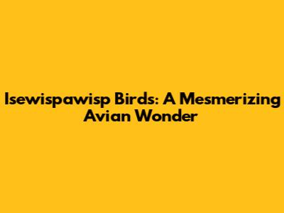 Isewispawisp Birds: A Mesmerizing Avian Wonder