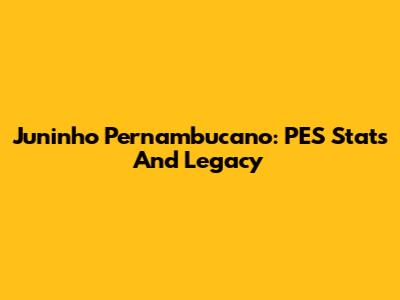 Juninho Pernambucano: PES Stats And Legacy