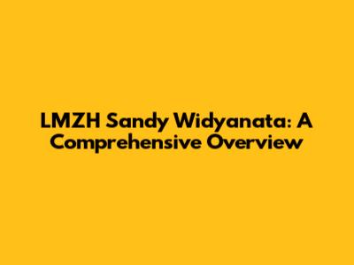 LMZH Sandy Widyanata: A Comprehensive Overview