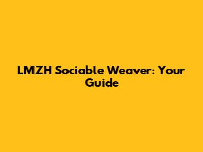 LMZH Sociable Weaver: Your Guide