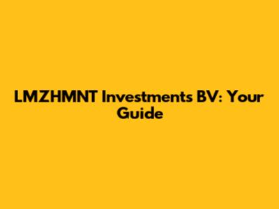 LMZHMNT Investments BV: Your Guide