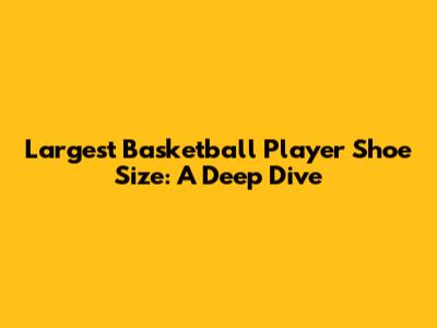 Largest Basketball Player Shoe Size: A Deep Dive