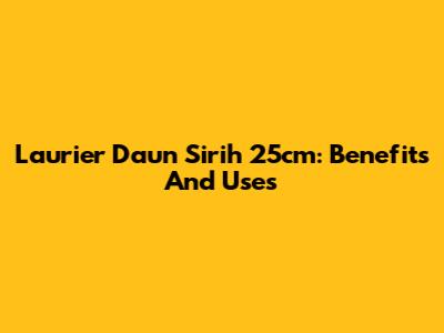 Laurier Daun Sirih 25cm: Benefits And Uses