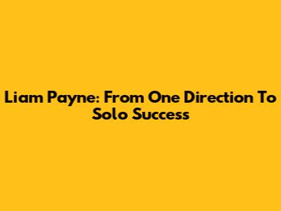 Liam Payne: From One Direction To Solo Success