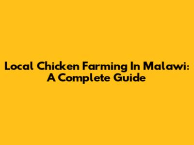 Local Chicken Farming In Malawi: A Complete Guide