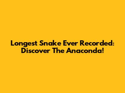 Longest Snake Ever Recorded: Discover The Anaconda!