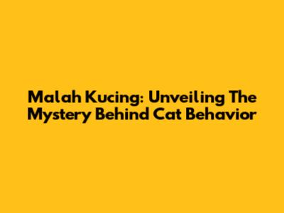 Malah Kucing: Unveiling The Mystery Behind Cat Behavior
