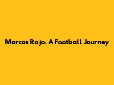 Marcos Rojo: A Football Journey