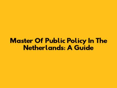 Master Of Public Policy In The Netherlands: A Guide
