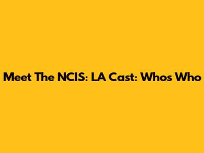 Meet The NCIS: LA Cast: Who's Who