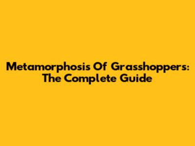 Metamorphosis Of Grasshoppers: The Complete Guide